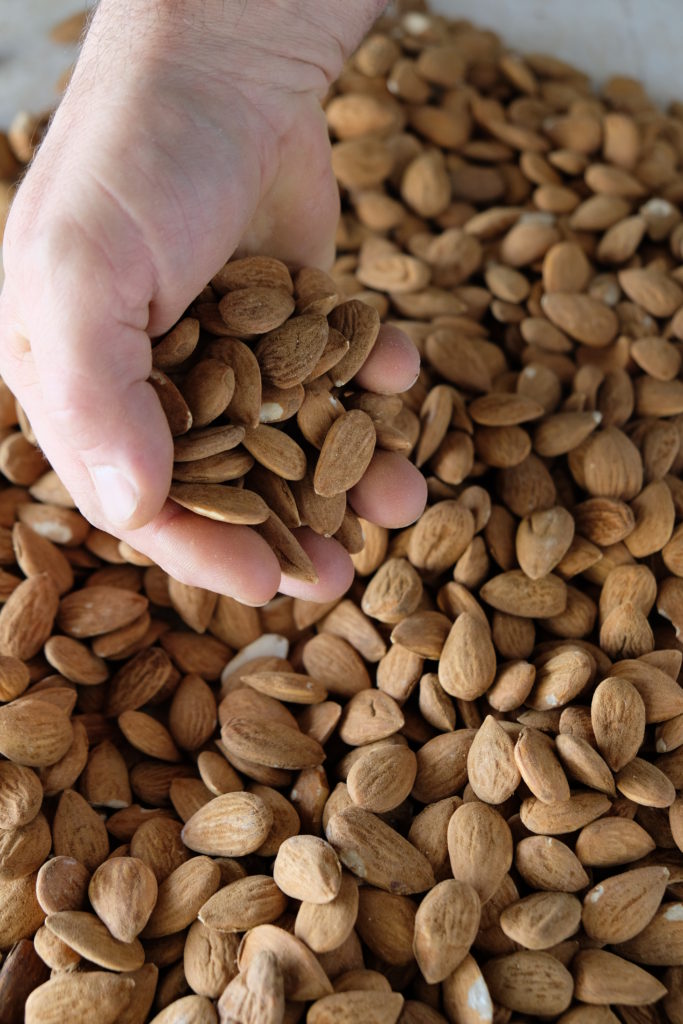 Almonds