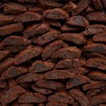 A multitude of chocolate biscuits by Fratelli Lunardi